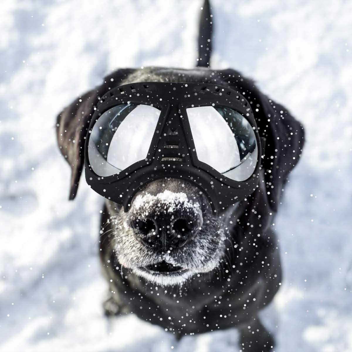Namsan Dog Goggles-Sunglasses for Large Dogs
