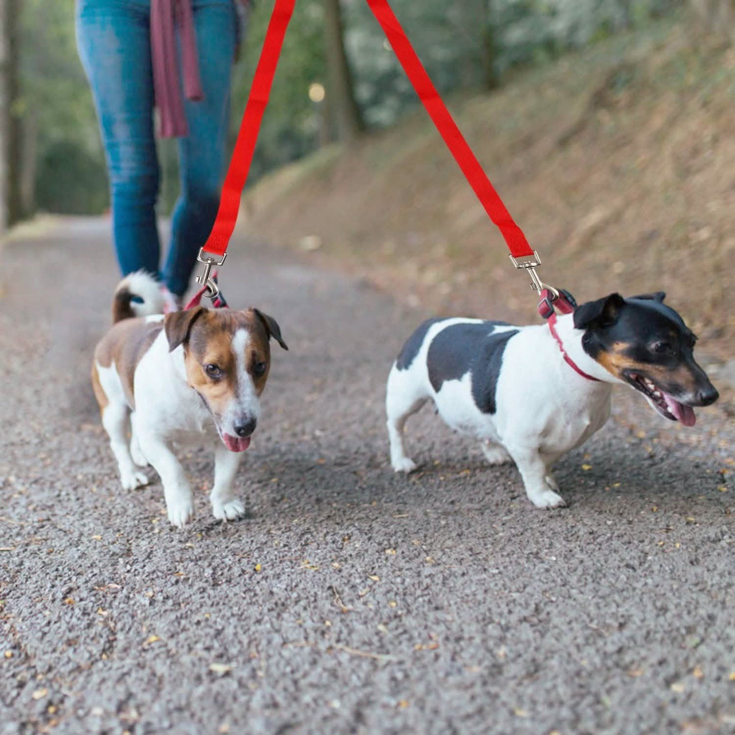 No-Tangle Dual Dogs Leash