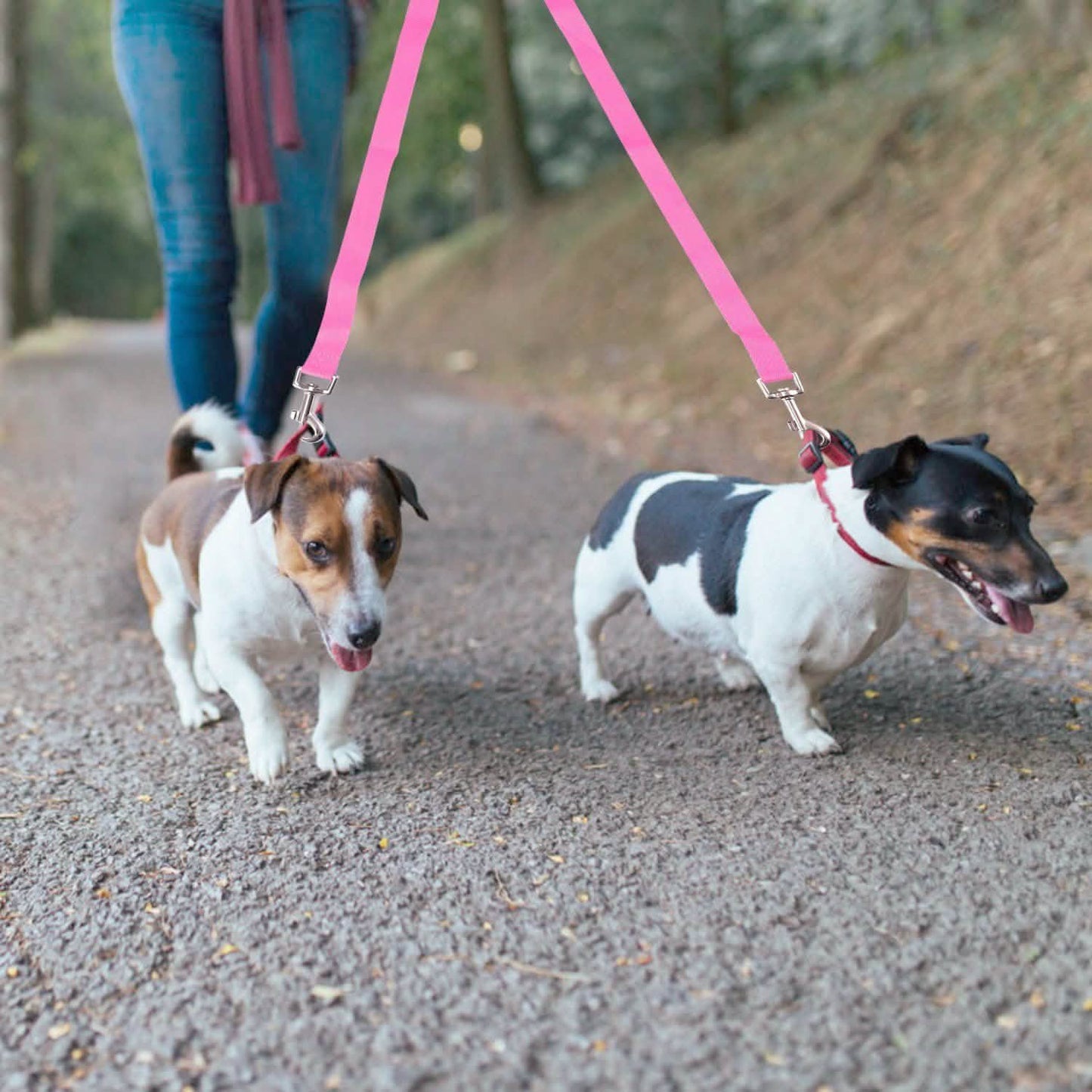 No-Tangle Dual Dogs Leash