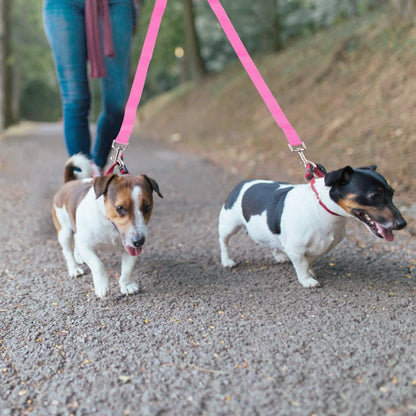 No-Tangle Dual Dogs Leash