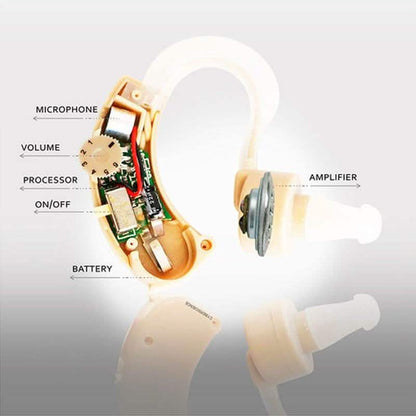 Personal Sound Amplifier Hearing Aid with Protective Case
