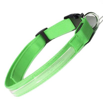 Pet LED Collar