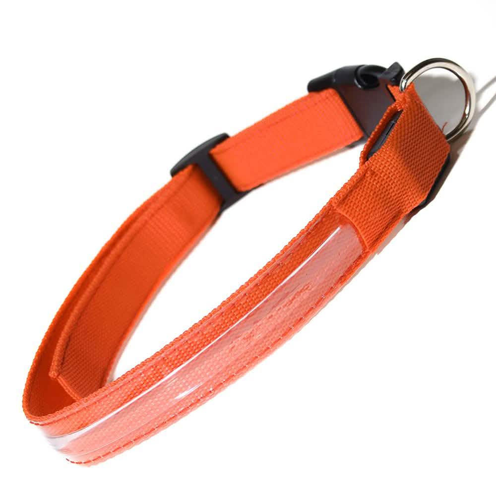 Pet LED Collar