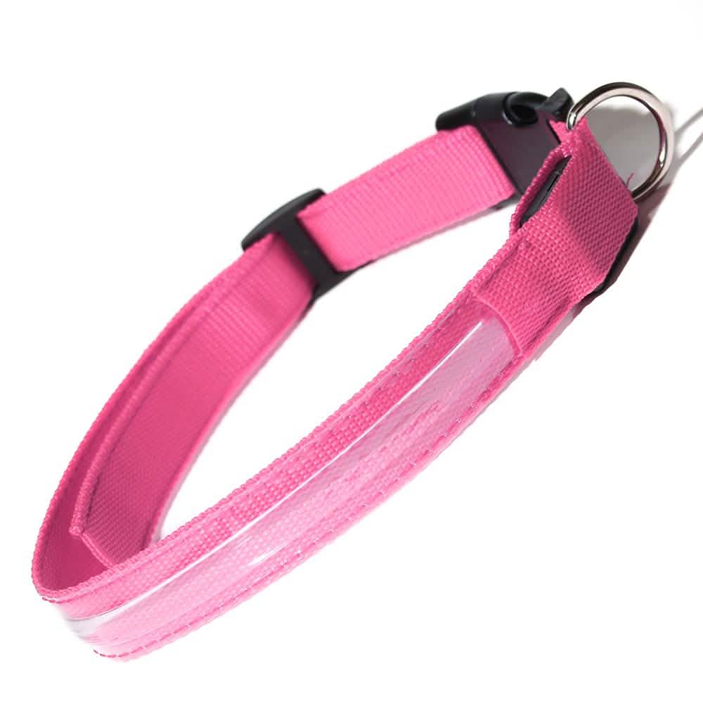 Pet LED Collar