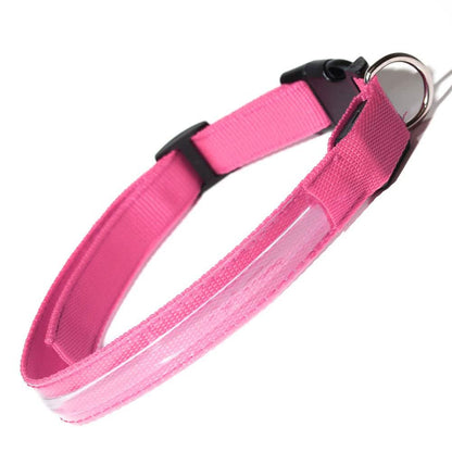 Pet LED Collar