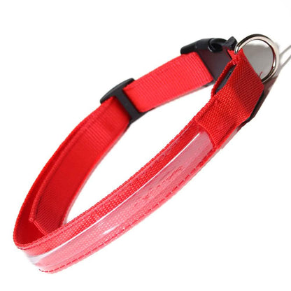 Pet LED Collar