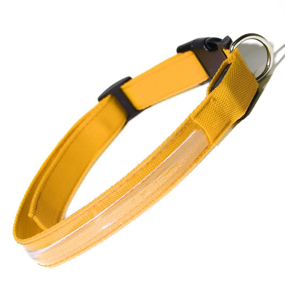 Pet LED Collar