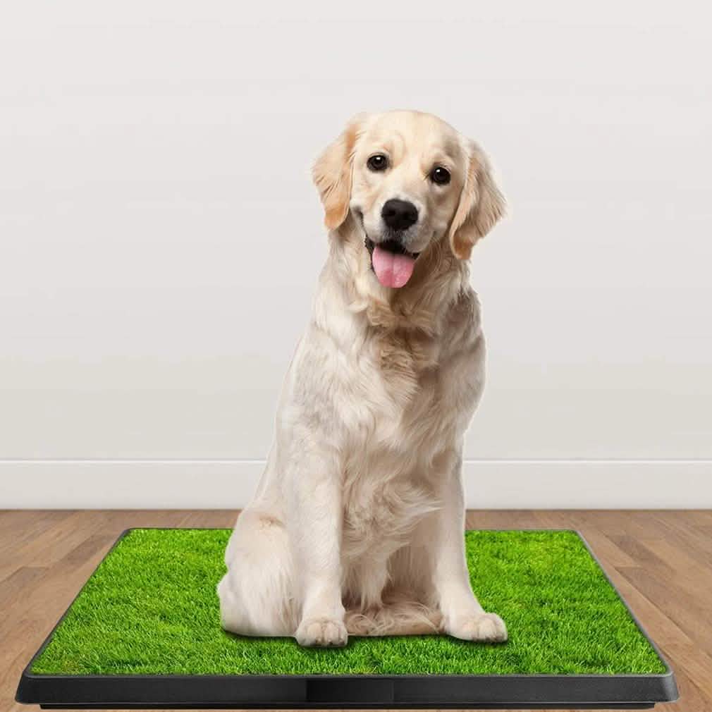 Pet Loo Portable Indoor/Outdoor Pet Potty