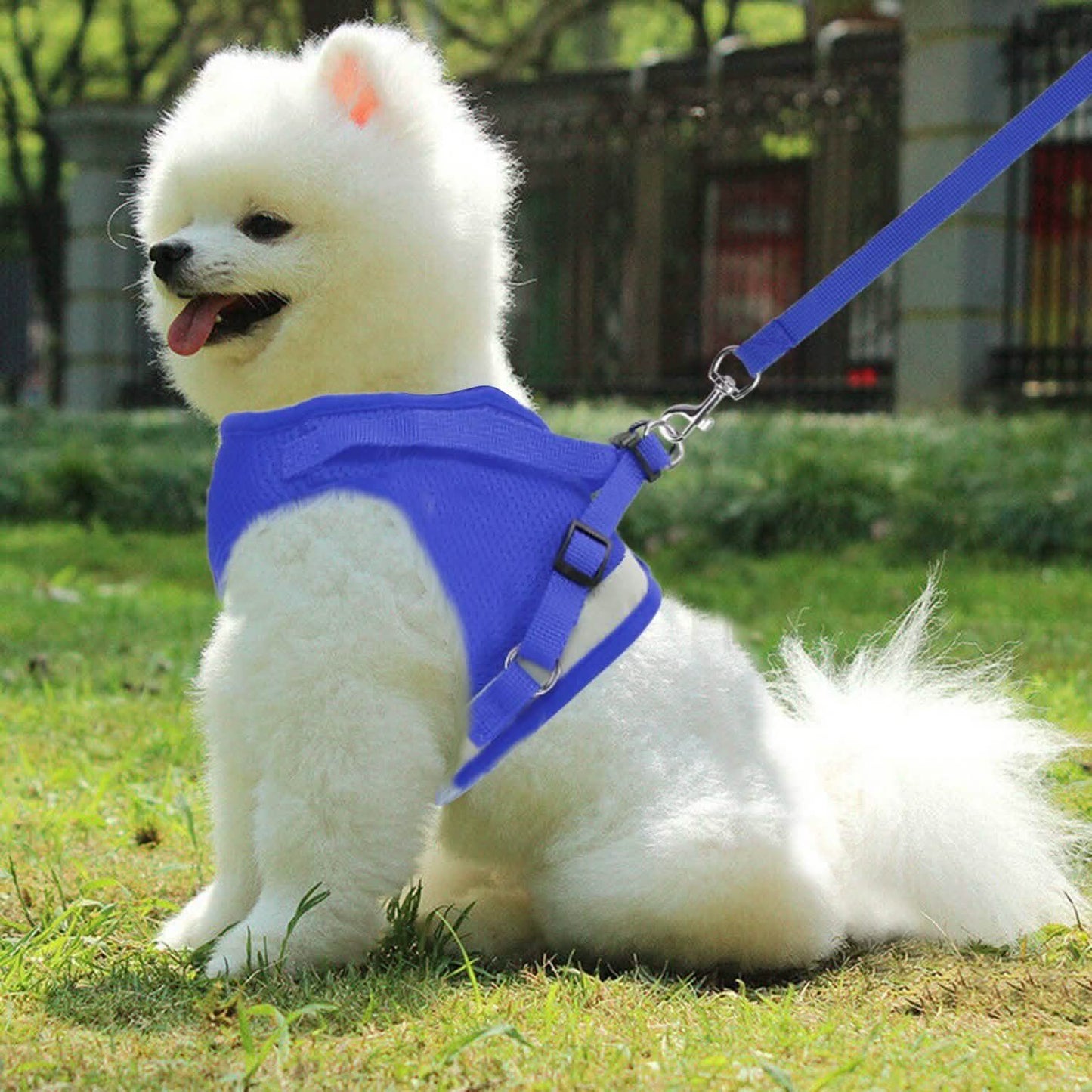 Pet Mesh Harness Dog Leash Puppy Vest