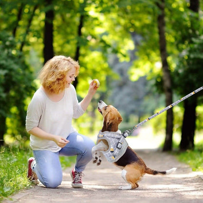 Pet Mesh Harness Dog Leash Puppy Vest