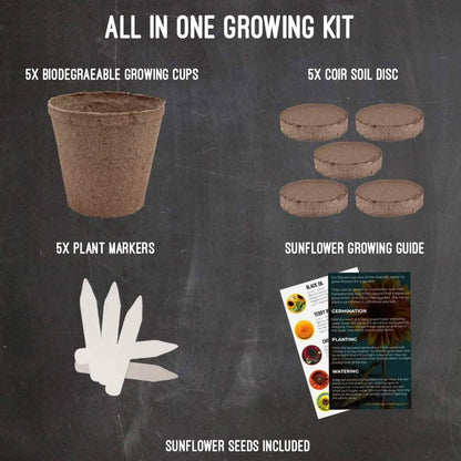 Plant Your Own Garden Grow Kit