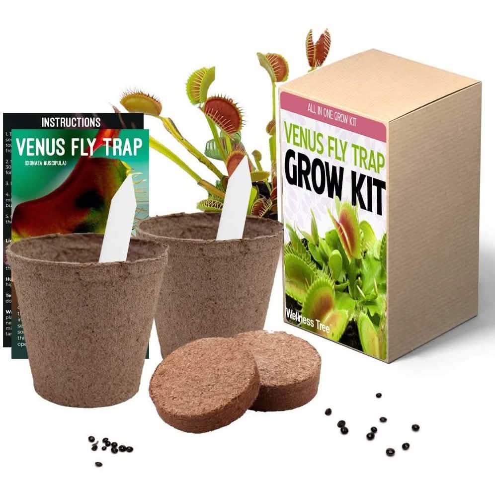 Plant Your Own Garden Grow Kit