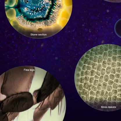 Portable Handheld Mini Microscope Toy