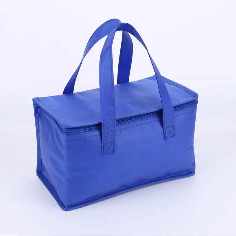 Premium Insulated Cooler Bag