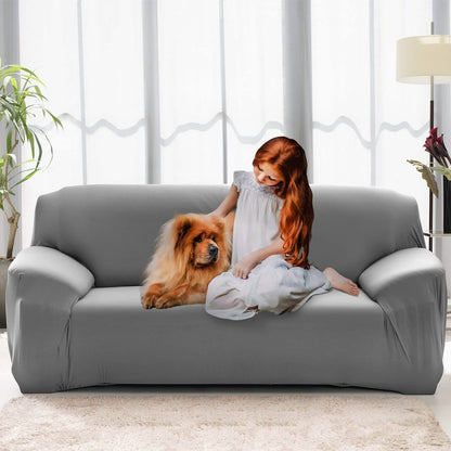 Printed Stretch Sofa Cover