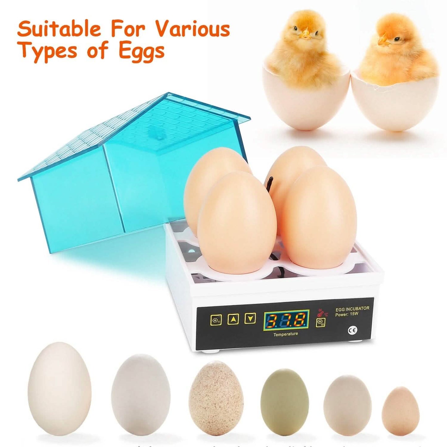 Professional Poultry Hatcher with Digital Display Automatic Temperature Humidity