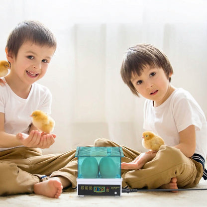 Professional Poultry Hatcher with Digital Display Automatic Temperature Humidity