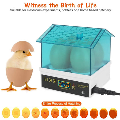 Professional Poultry Hatcher with Digital Display Automatic Temperature Humidity