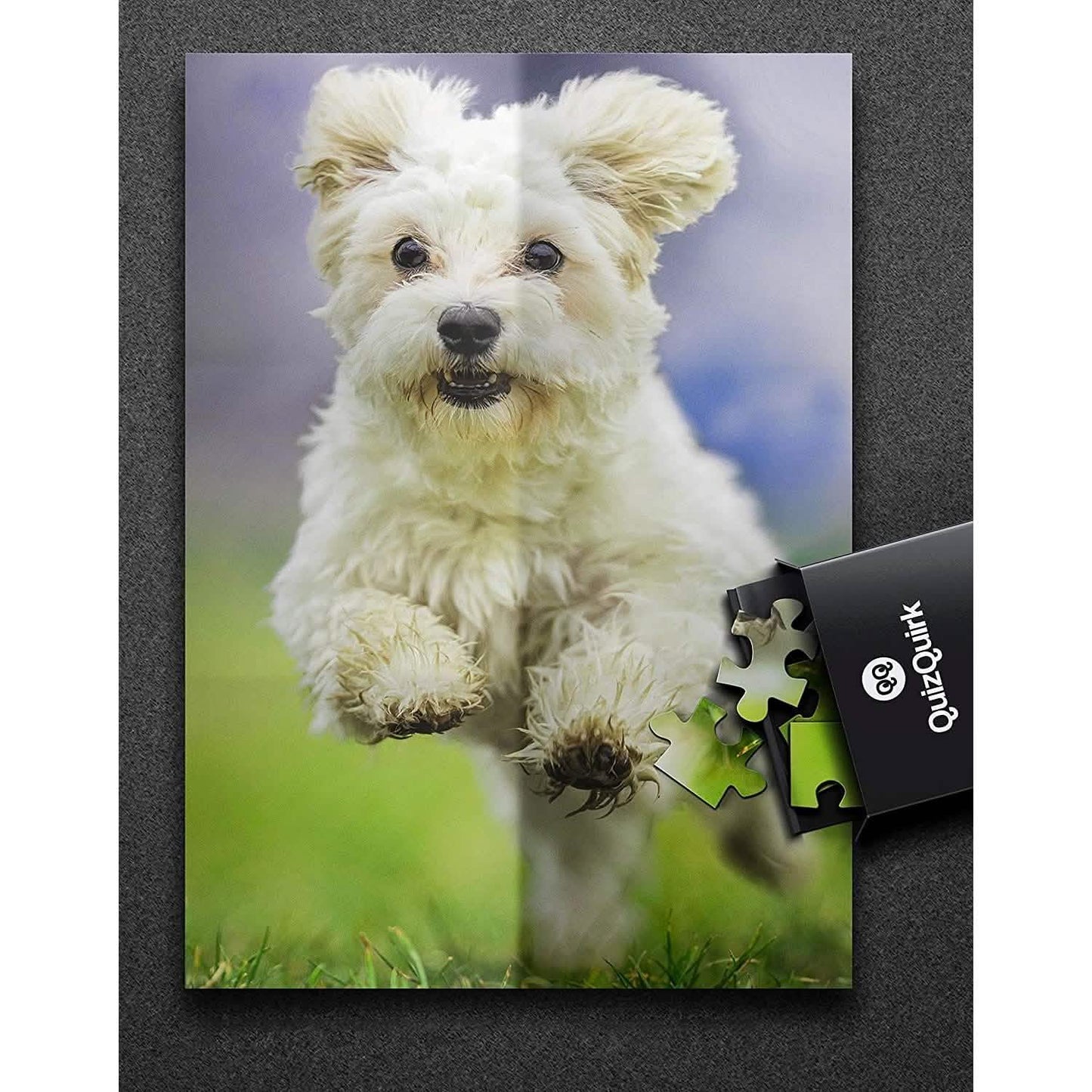 Puzzle with Puzzle Saver Kit