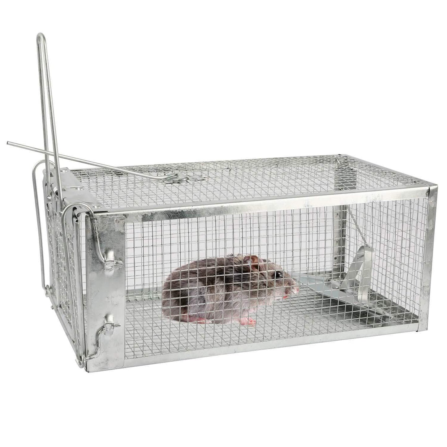 Rat Trap Cage Humane Live Rodent