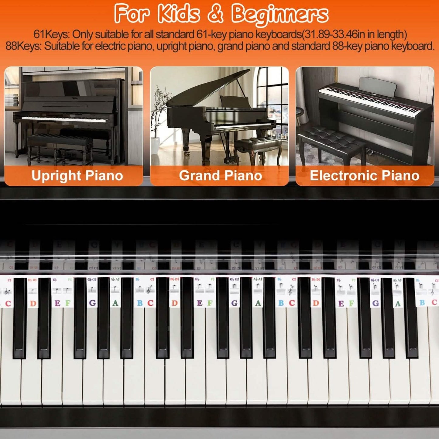 Removable PVC Piano Keyboard Stickers