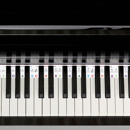 Removable PVC Piano Keyboard Stickers
