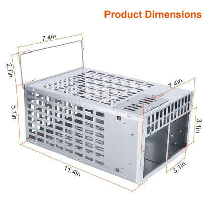 Reusable Metal Rat Cage Catch Release Continuous Capture