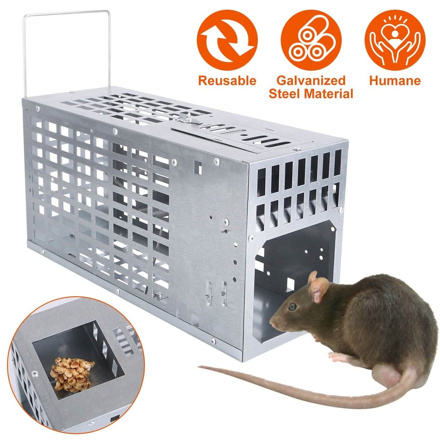 Reusable Metal Rat Cage Catch Release Continuous Capture