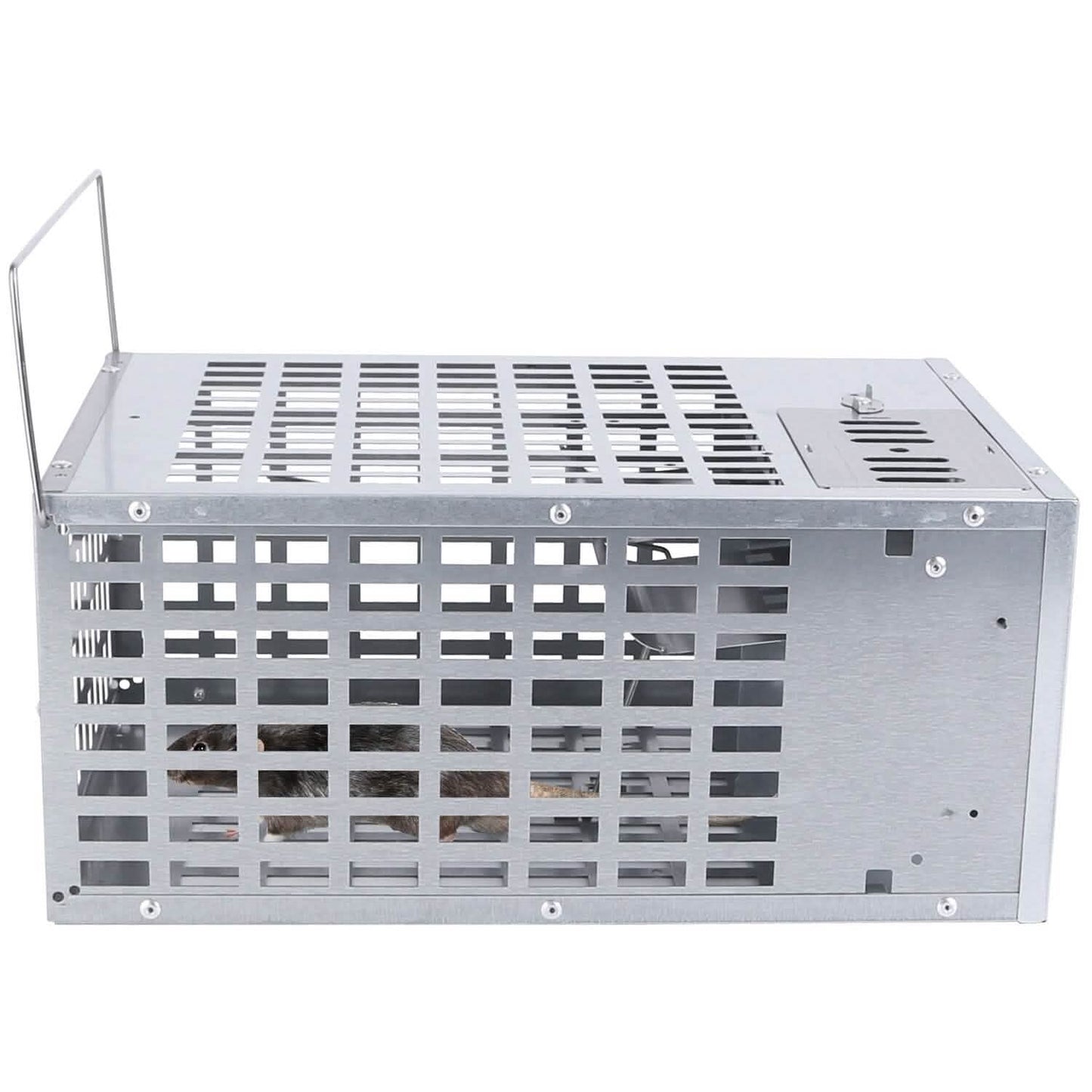 Reusable Metal Rat Cage Catch Release Continuous Capture