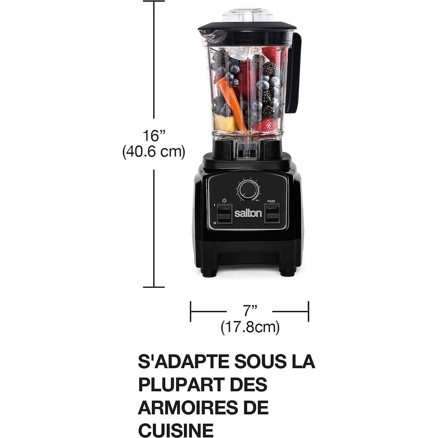 Salton Compact Power Blender 1.2 L/Qt
