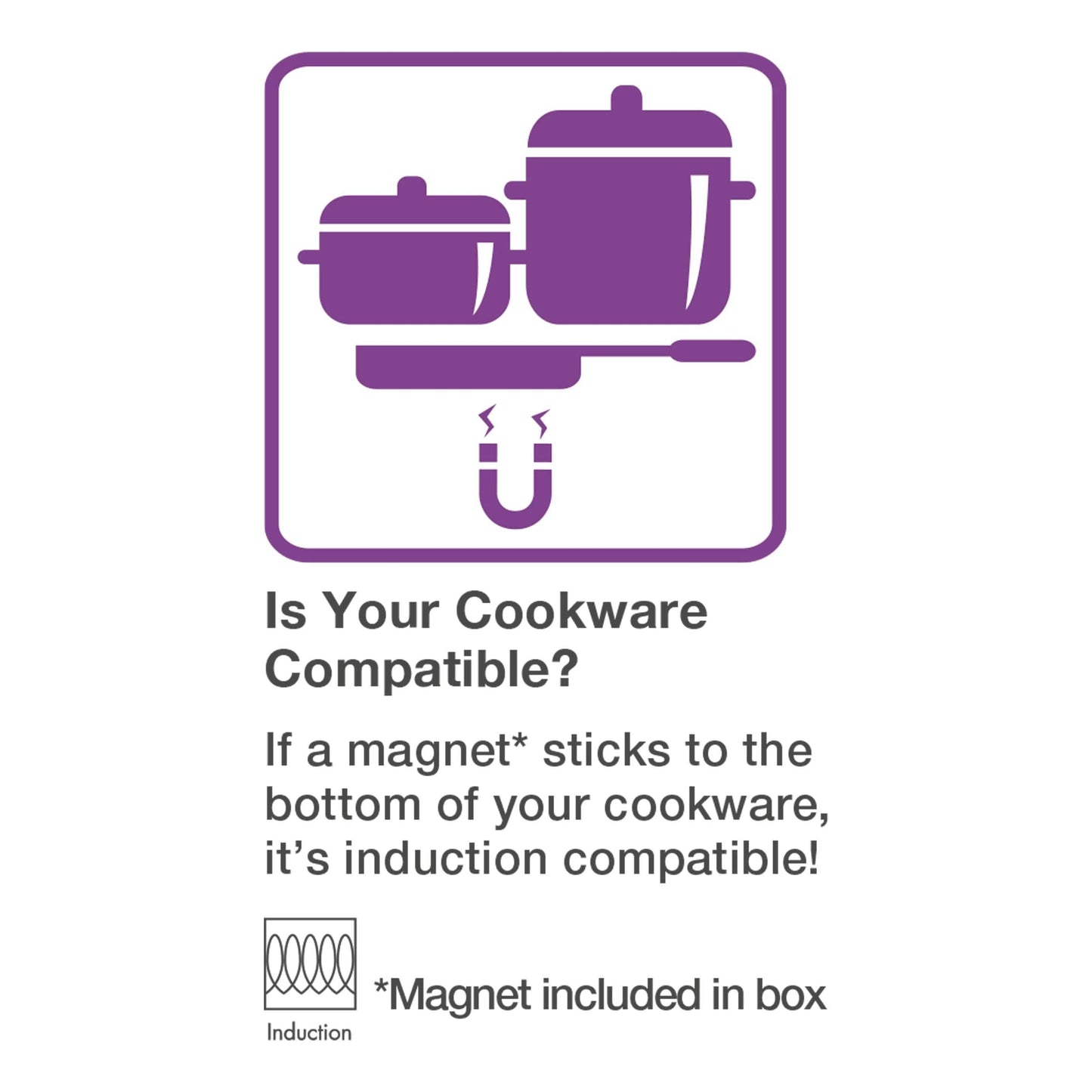 Salton Portable Induction Cooktop