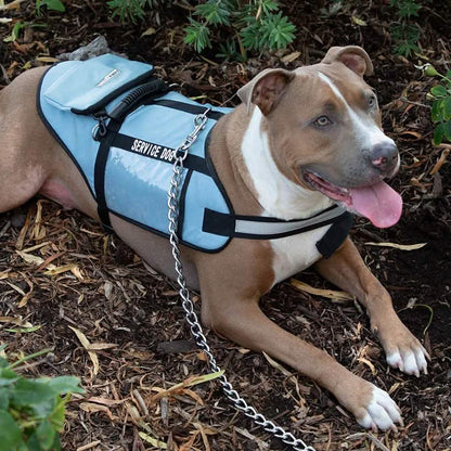 Service Dog Jacket