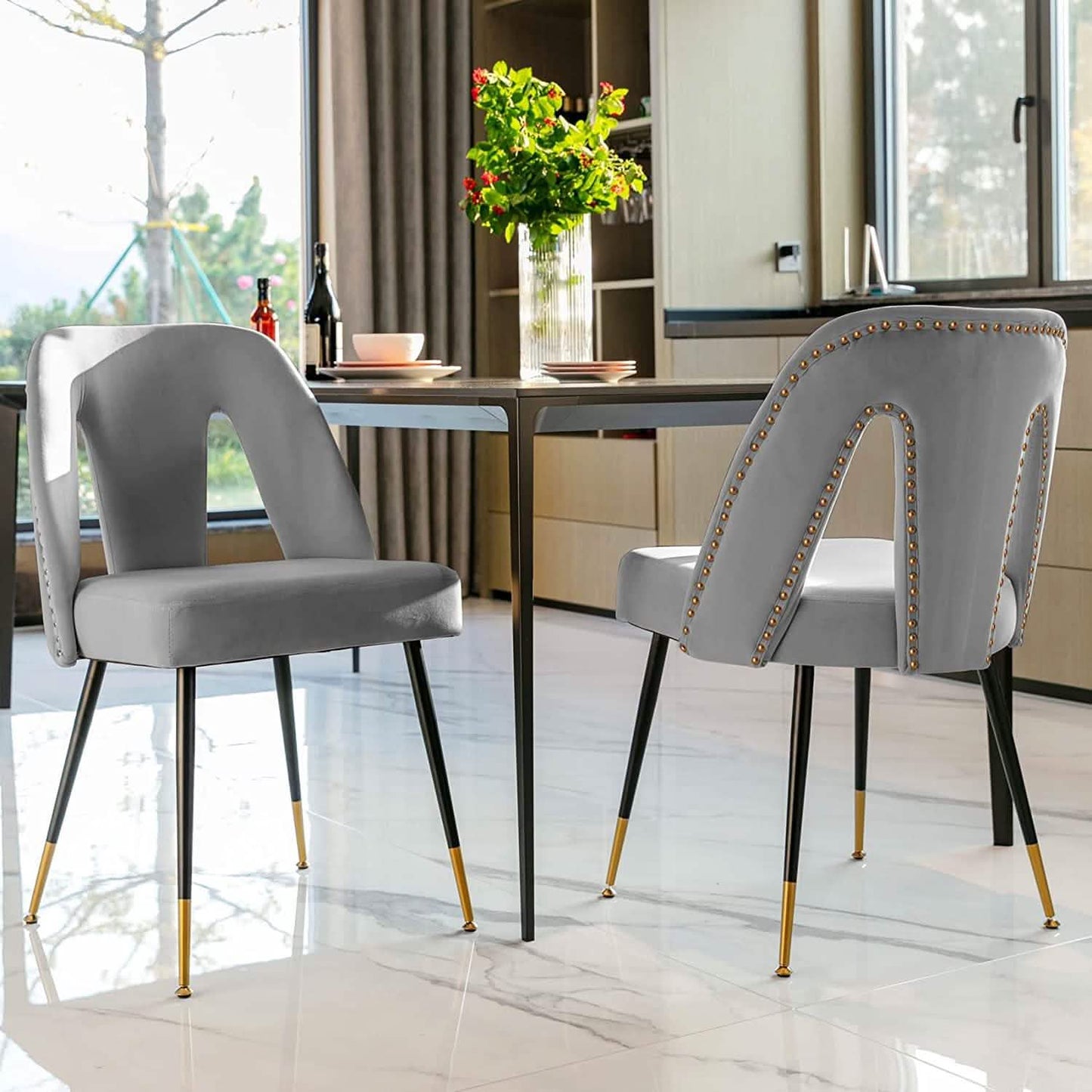 Set of 2: Modern Dining Chairs