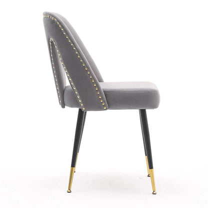 Set of 2: Modern Dining Chairs
