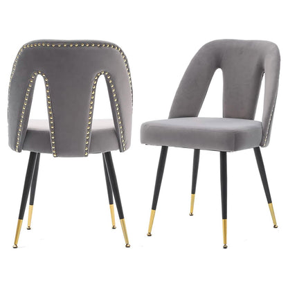 Set of 2: Modern Dining Chairs