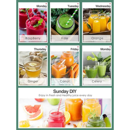 Slow Masticating Juicer Extractor Cold Press Juicer with Brush