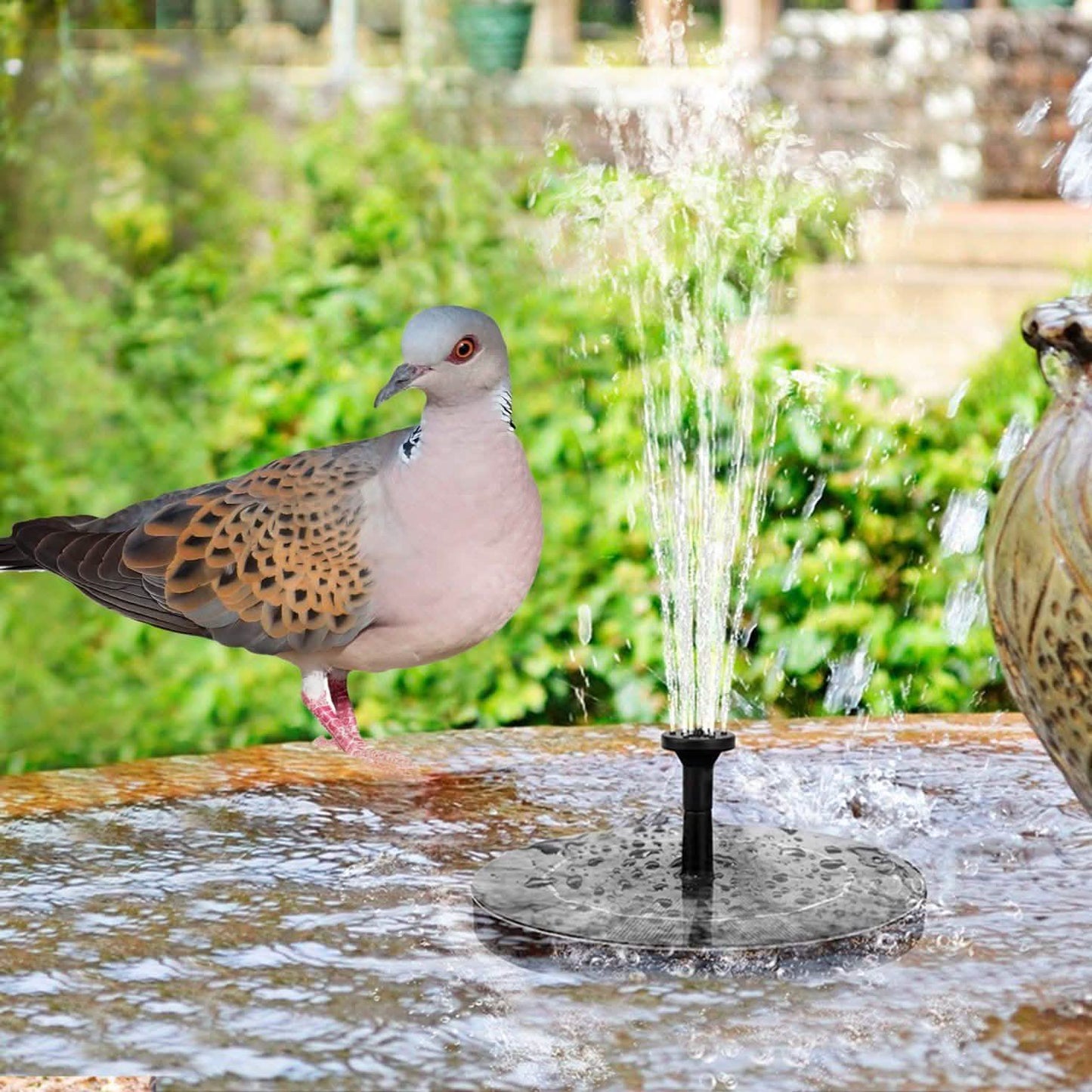 Solar Powered Fountain Pump Floating Bird Bath Pond