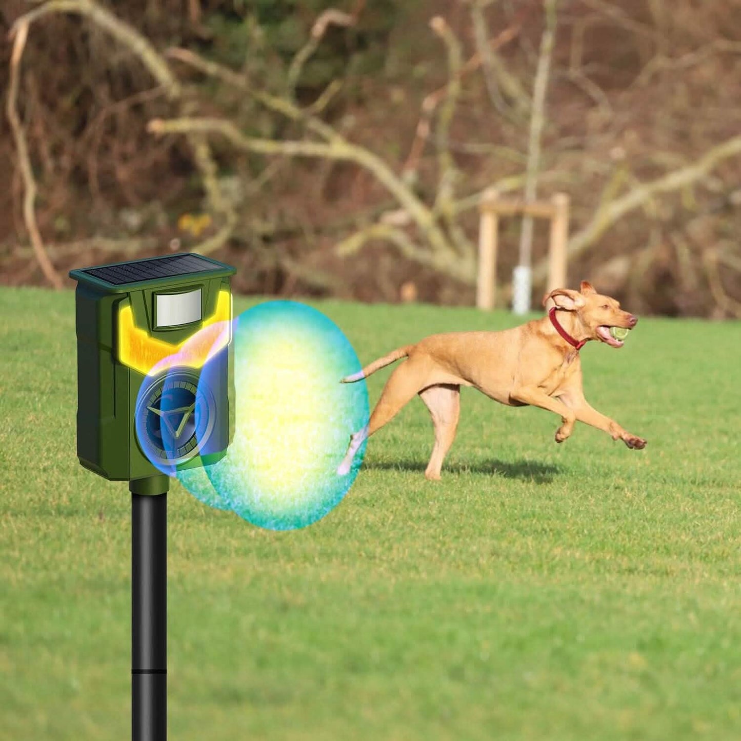 Solar Ultrasonic Animal Repeller with Flame Light USB Charge Motion Sensor