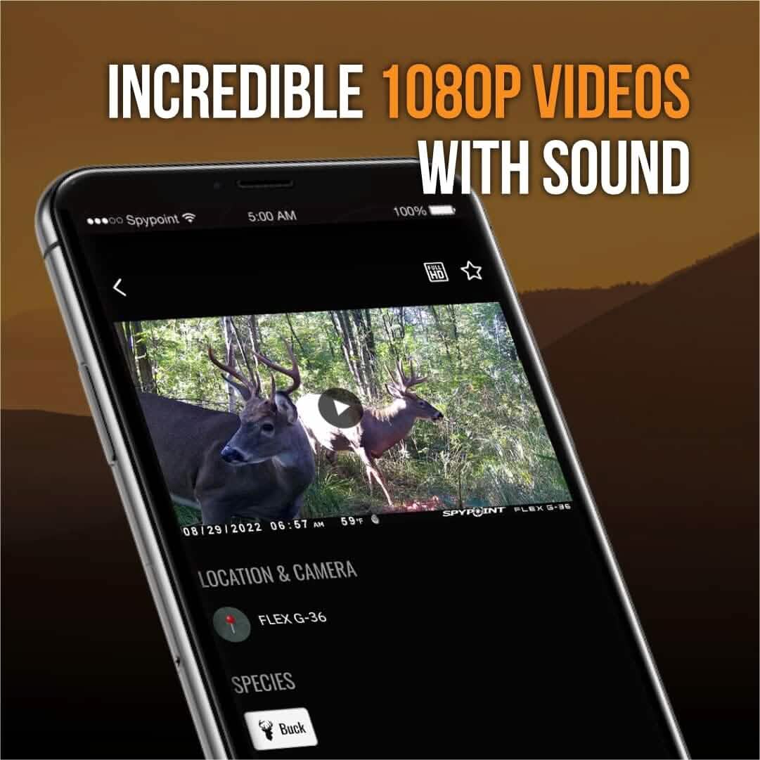 SPYPOINT Flex G-36 Cellular Trail Camera, 36MP Photos and 1080p Videos w/Sound (Refurbished)