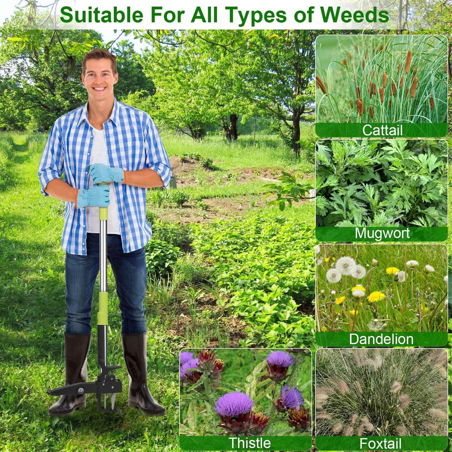Standup Aluminum Weed Puller with 4 Claws