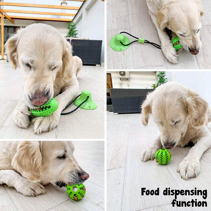 Suction Cup and Play IQ Toy Treat Ball