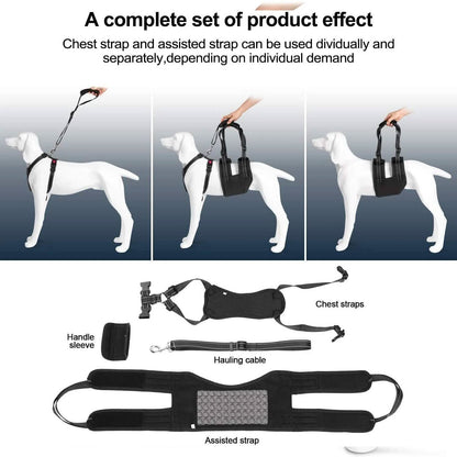 Support Harness Set Adjustable Chest Sling Strap for Elderly Disable Dog
