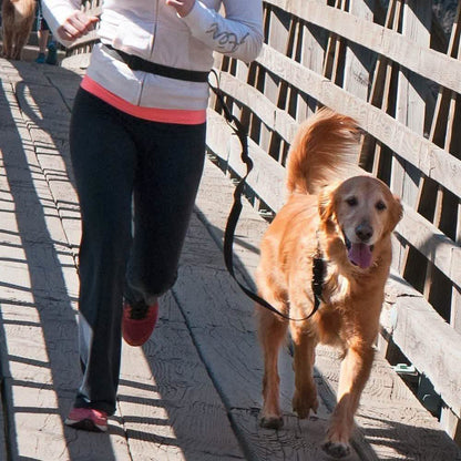 The Buddy System Adjustable Hands Free Dog Leash
