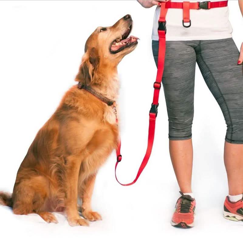 The Buddy System Adjustable Hands Free Dog Leash