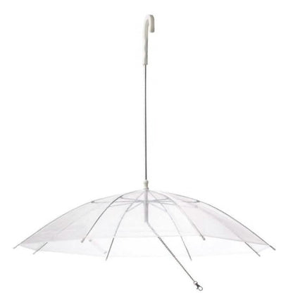 Transparent Outdoor Dog or Puppy Umbrella with Chain Leash