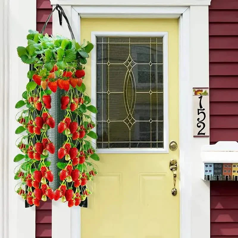 Upside Down Tomato Grow Bag