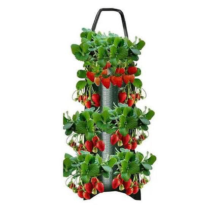 Upside Down Tomato Grow Bag