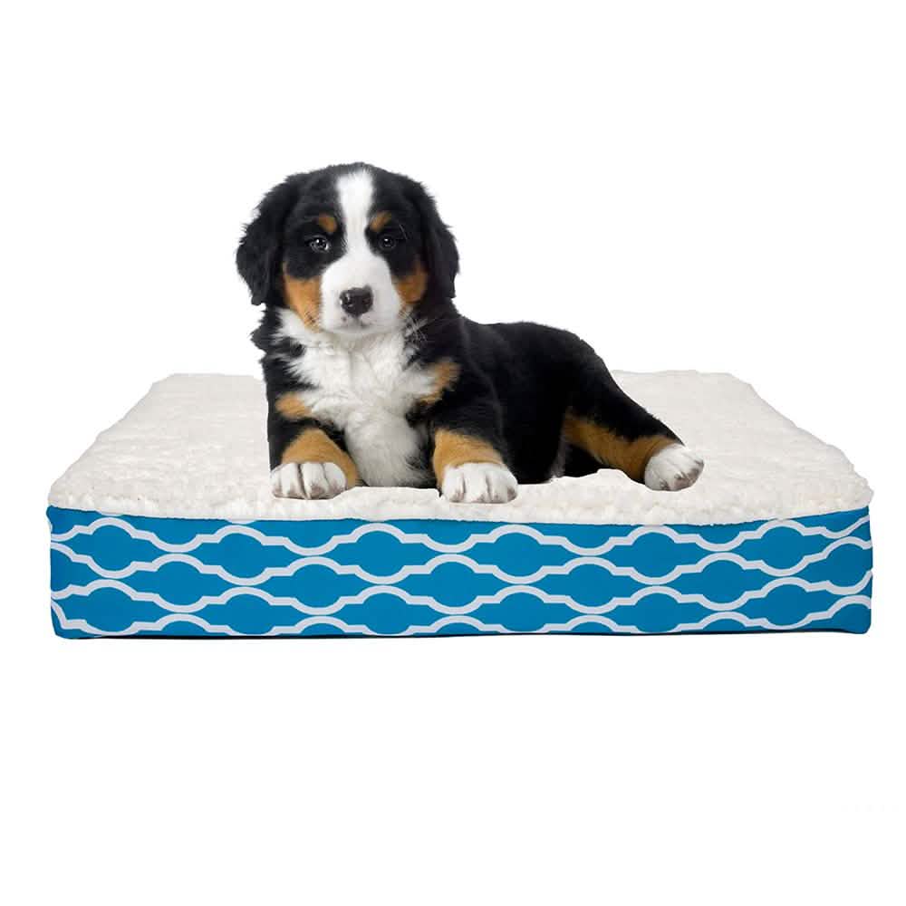 Wags & Whiskers Memory Foam Pet Bed - Assorted Styles