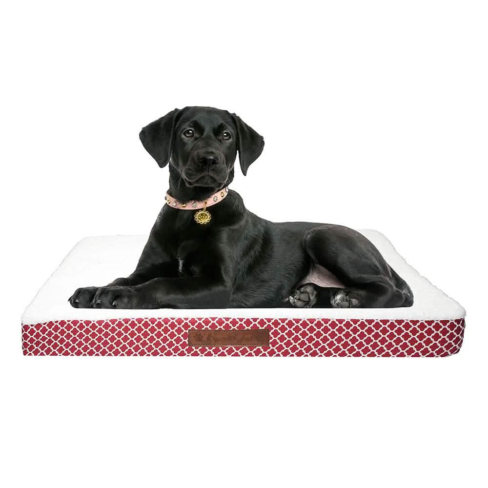Wags & Whiskers Memory Foam Pet Bed - Assorted Styles