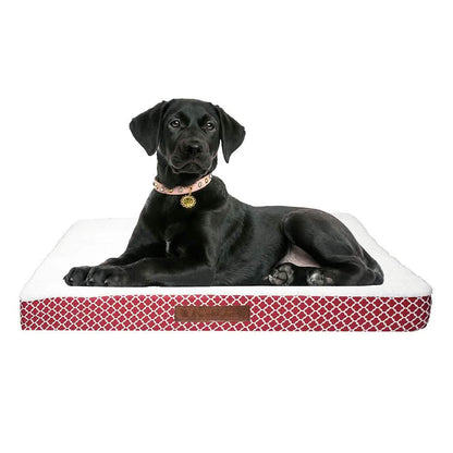 Wags & Whiskers Memory Foam Pet Bed - Assorted Styles